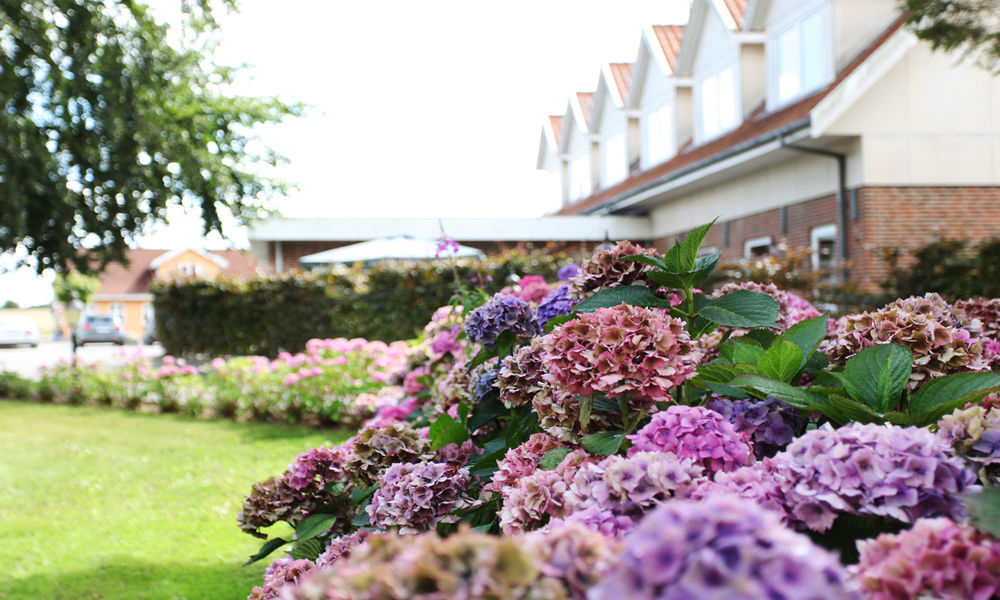 Fangel Kro & Hotel Bellinge Buitenkant foto